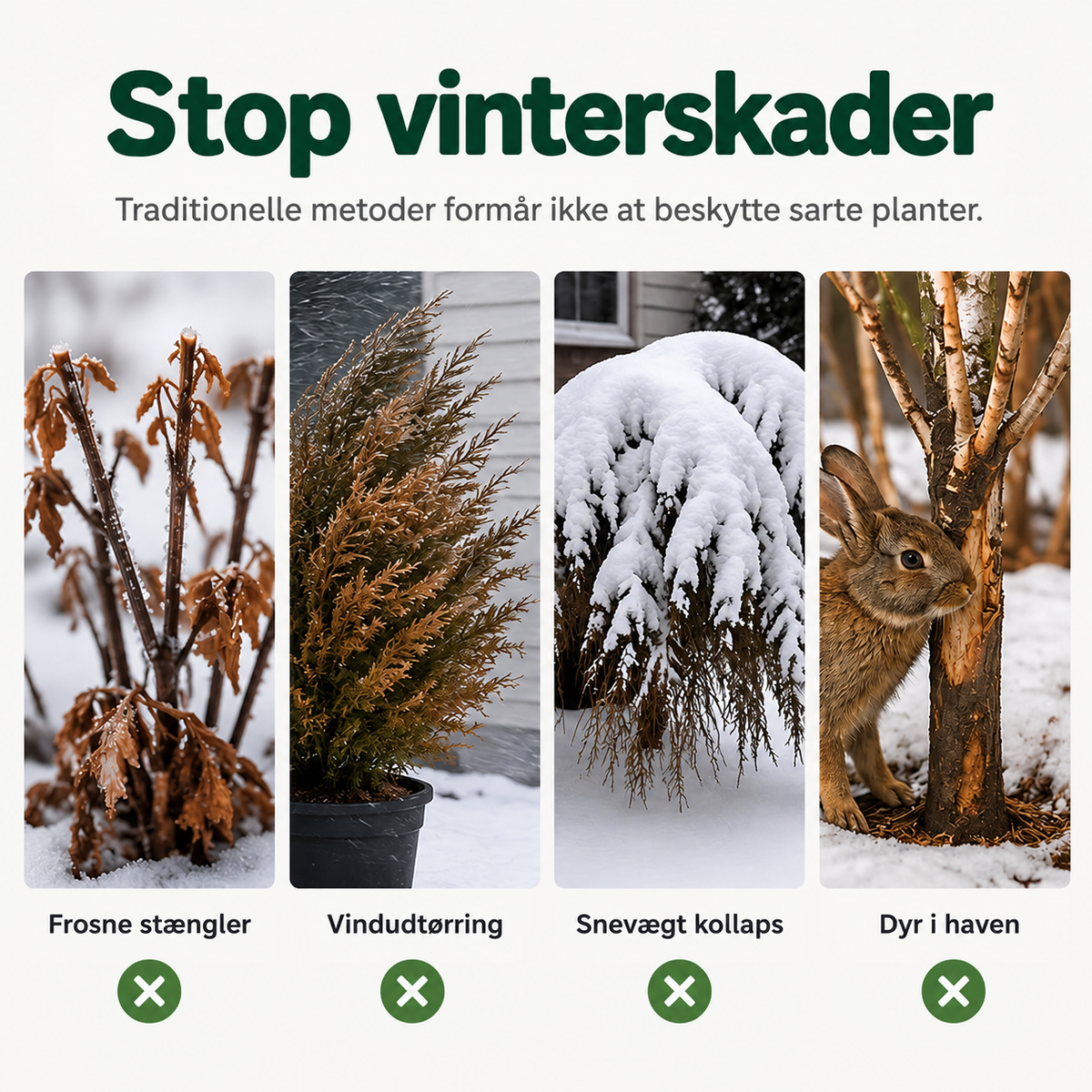 Frostbeskyttelsesovertræk til planter | Slidstærkt ikke-vævet stof