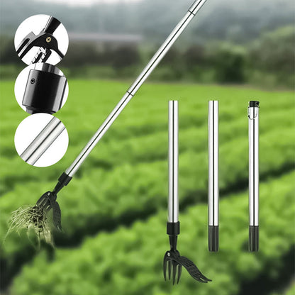 FloraFixer | Forvandl din have til en oase!