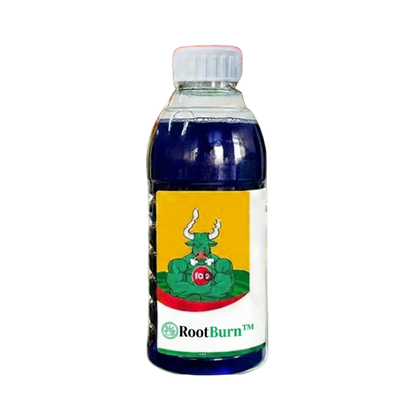 Megatilbud | RootBurn™ Ukrudtsmiddel | Fjern genstridigt ukrudt – synlige resultater på bare 24 timer!