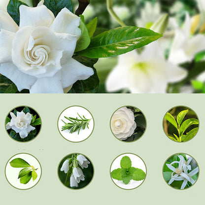 🎶Automatisk aromaterapidiffusor 🌿✨ | Ultralydsforstøvning · Tidsstyret forstøvning · Smart skærm · Kan monteres på væg eller bord
